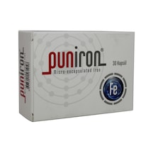 Puniron ® Mikroenkapsüle Demir Minerali