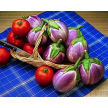 10+Italyan Rosa Bianca Alacalı Patlıcan Tohumu