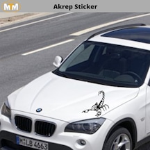Akrep Sticker (282335910)