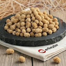 1 KG