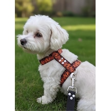Köpek Göğüs Tasması H Tipi Minik Ve Küçük Irk Ayarlamalı Kolon Kordon Kaplan Desen Genel