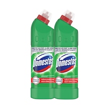 Domestos Çamaşır Suyu 750 Ml Dağ Esintisi 2'Li