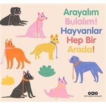 Arayalım Bulalım Hayvanlar Hep Bir Arada / Marta Nunes