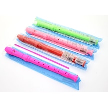 Renkli Plastik Flüt