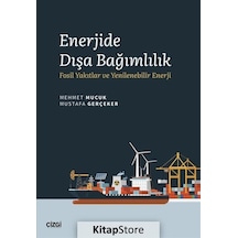 Enerjide Dışa Bağımlılık - Fosil Yakıtlar ve Yenilenebilir Enerji - Mehmet Mucuk - Çizgi Kitabevi