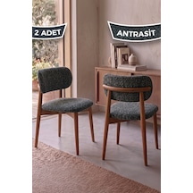 Antrasit - Ceviz