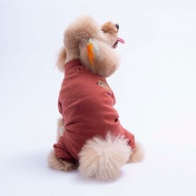 Bordo Berry Hedge Köpek Tulumu Köpek Kıyafeti Kedi Kıyafeti
