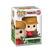 Pop Television Peanuts - Charlie Brown With Tree No:1627