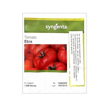 Ebia F1 Oturak Hibrit İri Domates Tohumu 1000 Adet Syngenta