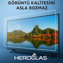 Dreamstar 24dse101 24 İnç Tv Ekran Koruyucu