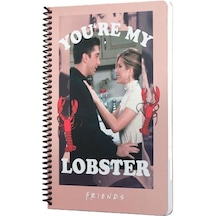 Mabbels Spiralli Defter Friends Youre My Lobster Pembe 80 Yp 17x24 Dft-388463 Çok Renkli