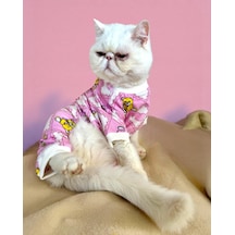 Teddy Toad Penye Kedi Tulum Pijama