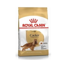 Cocker Spaniel Adult Yetişkin Köpek Maması 3 Kg