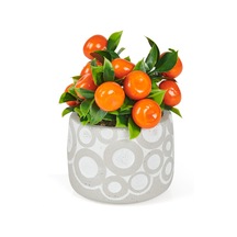 Saksıda Yapay Mandalina Çok Renkli