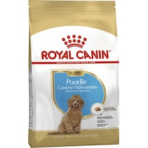 Royal Canin Puppy Poodle Küçük Irk Yavru Köpek Maması 3 KG