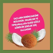 Doğanın Enerjisi Saç Bakım Şampuanı Hindistan Cevizi Yağı Onarıcı & Yıpranma Karşıtı 400 Ml
