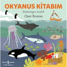 Okyanus Kitabım - Yaratıcılığını Keşfet - Dlkj-880096