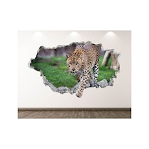 Vahşi Yaşam Muhteşem Hayvanlar Full Hd Baskı 3d Modern Duvar Sticker