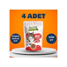 Adult Instinct Sığır Etli Yaş Kedi Maması 4 X 100 Gr