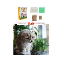 Doğal Kedi Çimi Fileli Ve Kutulu Tüy Yumağı Önleyici