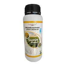 1 L