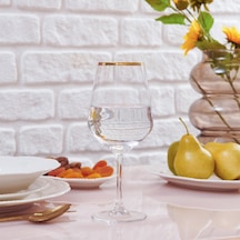 Raklee Avantgarde Gold 6'lı Ayaklı Bardak - 490 Ml Renkli