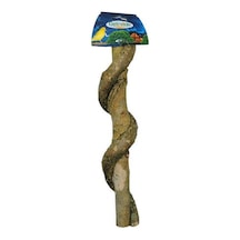 Dogal Dal Tünek Sarmaşık 30 Cm İnce