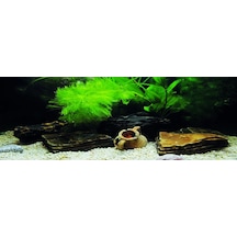 Kanki Pet Kp18565033 Akvaryum Arka Fon Yapıştırma 185 X 65 Cm