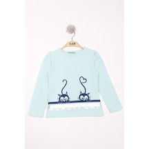 Mint Yeşili