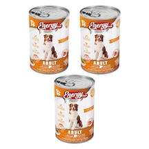 Energy Kuzu Etli Konserve Yetişkin Köpek Maması 3 x 400 G