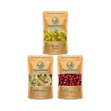 Tilya Kürü - Ihlamur(30 G),Altınotu(20 G),Kuşburnu(150 G)