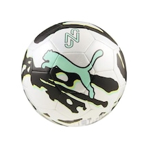Neymar Jr Graphic Ball Unisex Yetişkin Top, Puma White-black-lux Lime, 5