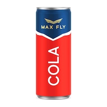 Max Fly Cola 250 Ml 24 Adet