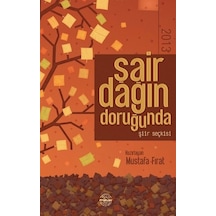 Şair Dağın Doruğunda 2013 - Mustafa Fırat - Mühür Kitaplığı