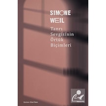 Tanrı Sevgisinin Örtük Biçimleri - Simone Weil - Mecaz