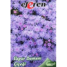 Vapur Dumanı Çiçeği Tohumu 1 Paket
