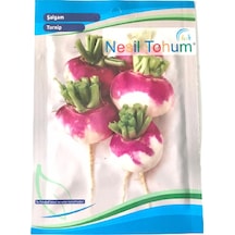 Şalgam Turnip Atalık Tohum 3 Paket