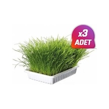 3 Adet - Trixie Yavru Ve Yetişkin Kedi Çimi (Yumuşak)