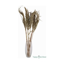 Yapay Çiçek Sitesi Kuru Çiçek Doğal Yılan Örgü Palm Snake Stems 75 Cm 5li Naturel