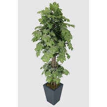 Yapay Çiçek Deposu Yapay Ağaç Çınar Yapraklı Akçaağaç 170 Cm Gri Yeşil