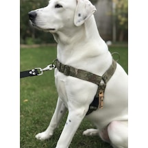 Köpek Göğüs Tasması Ayarlanabilir Büyük Irk Ön Ve Arka Çekmeli Kolon Kordon Kamuflaj Çok Renkli