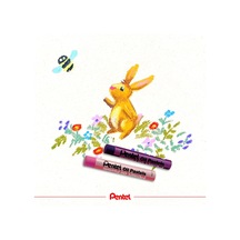 Çok Renkli
