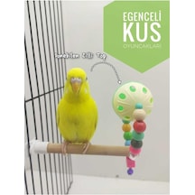Muhabbet Kuşu Zilli Oyun Toplu Tünekli Oyuncak