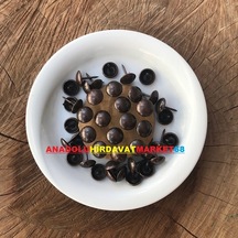 Kabara Raptiye Çivisi Bronz Eskitme Renk Çapı 11 MM 1000 Adet
