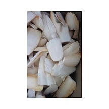 Purecanpati Small Boy Kalamar Kemiği, 100 Gram