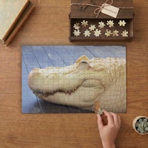 Uyuyan Albino Timsahı Tasarımı 240 Parça Ahşap Puzzle Ahşap Kutuda Mpy20466
