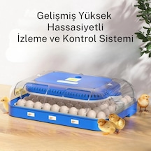70 Yumurta Kapasiteli Tam Otomatik Kuluçka Makinesi Nem Kontrollü, Kaz Uyumlu, Dijital Sistem