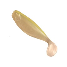 Yumy17100 10 Cm Balık Renk p027