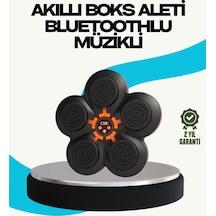 Ev Tipi Akıllı Boks Duvar Paneli Müzikli Bluetoothlu Refleks Geliştirme Cihazı