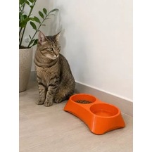 Hubrendy Sh İkili Model Beton Kedi Köpek Mama Ve Su Kabı 24cm 12cm 5cm - Turuncu